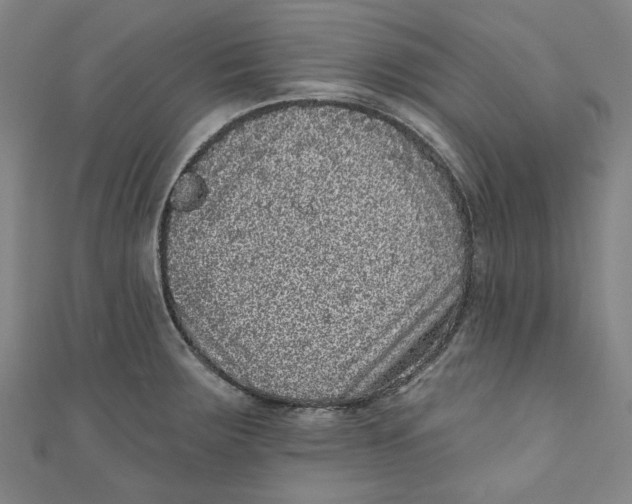 X0000110941283200907101239