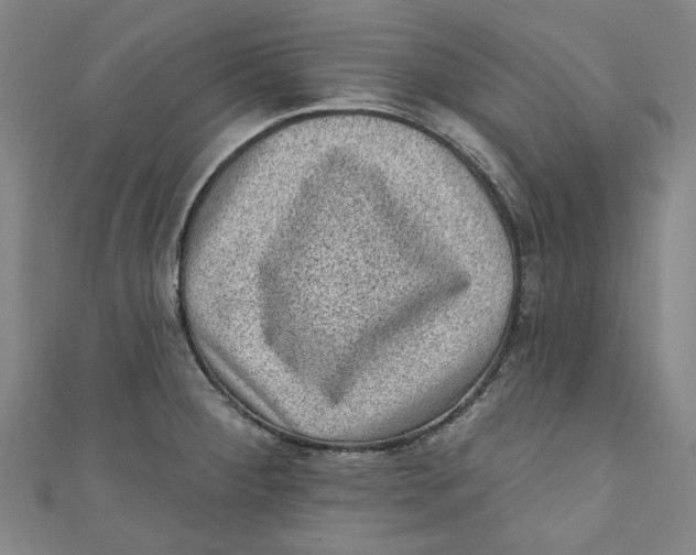 X0000110941284200907101239