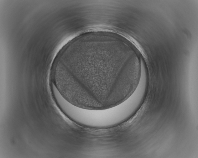 X0000110941285200907101239