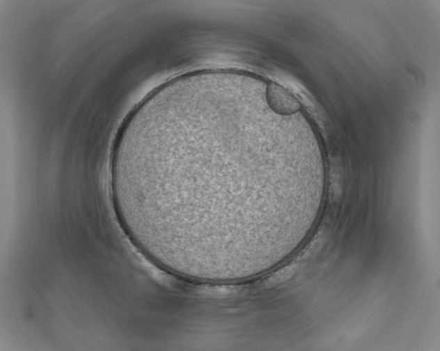 X0000110941286200907101239