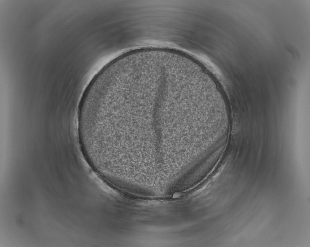 X0000110941287200907101239