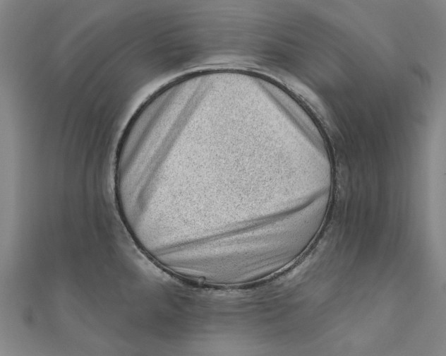 X0000110941288200907101239