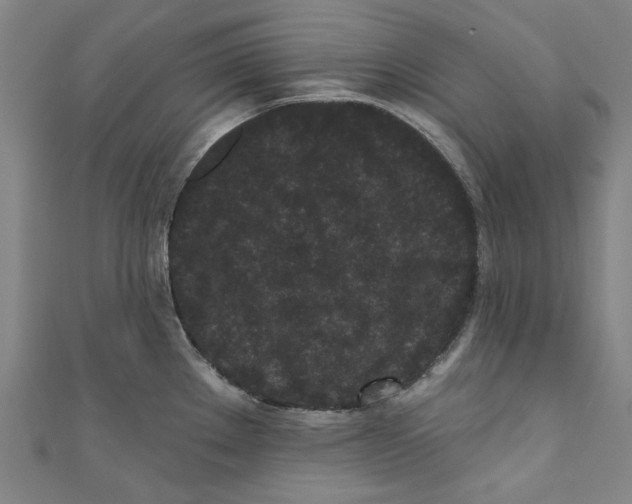 X0000110941289200907101239