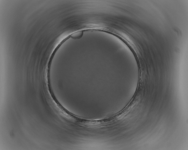 X0000110941291200907101239