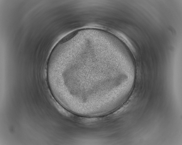 X0000110941292200907101239