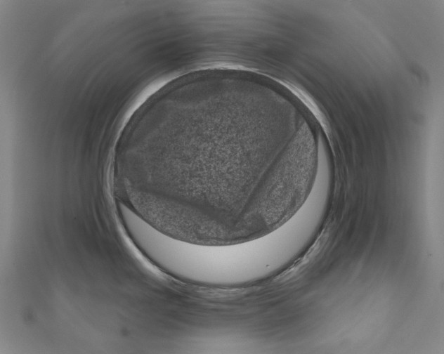 X0000110941293200907101239