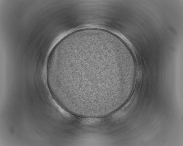 X0000110941294200907101239