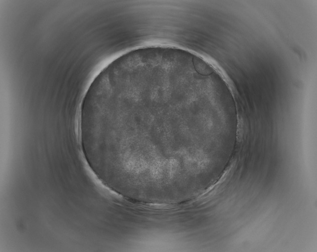 X0000110941295200907101239