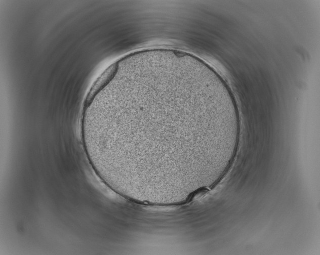 X0000110941296200907101239