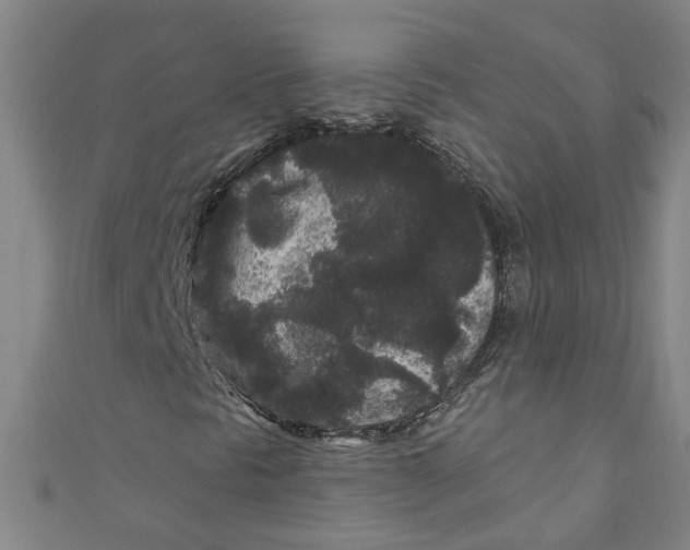 X0000110941297200907101239