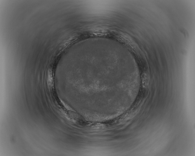 X0000110941298200907101239