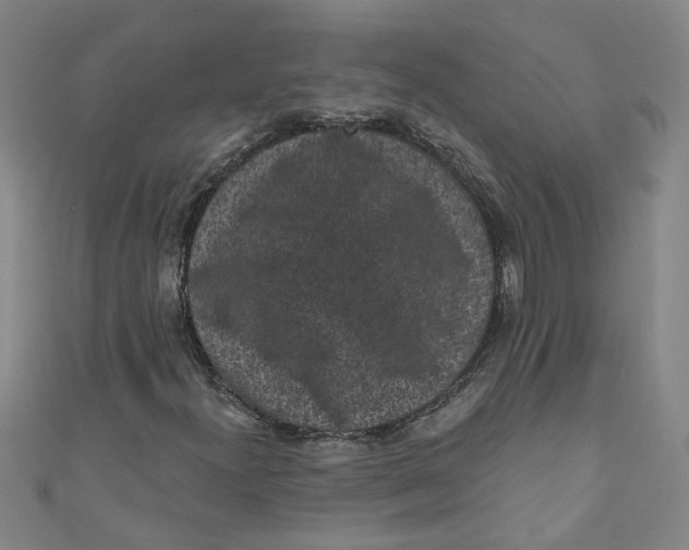 X0000110941300200907101239