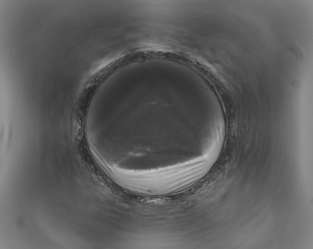 X0000110941303200907101239