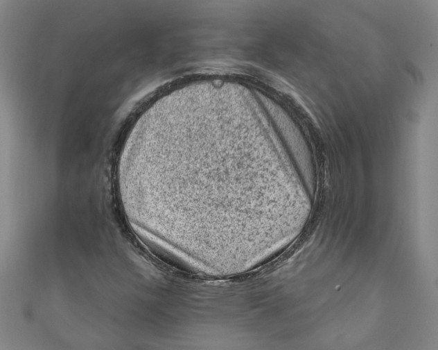 X0000110941304200907101239