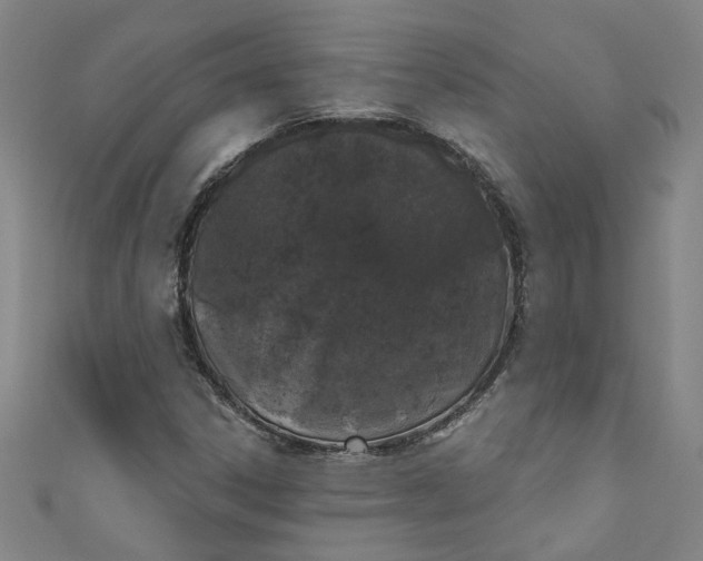 X0000110941306200907101239