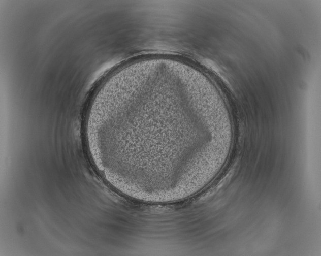 X0000110941307200907101239