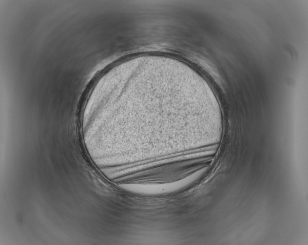 X0000110941308200907101239