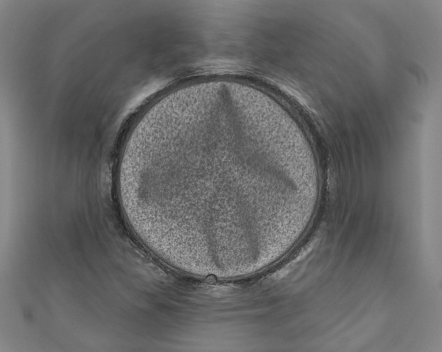 X0000110941309200907101239