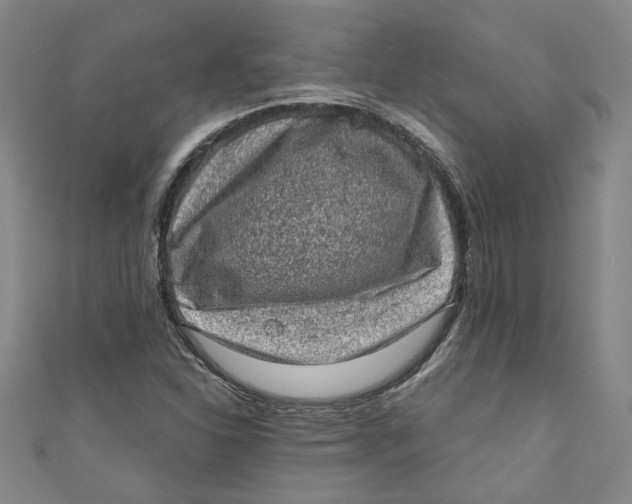 X0000110941310200907101239