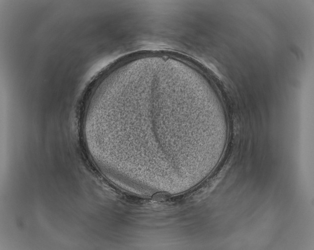 X0000110941311200907101239