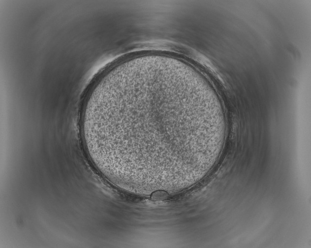 X0000110941312200907101239