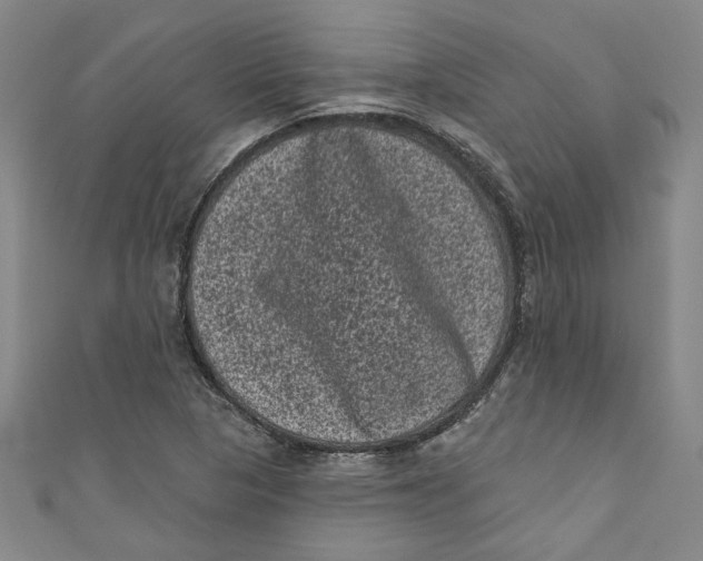 X0000110941313200907101239