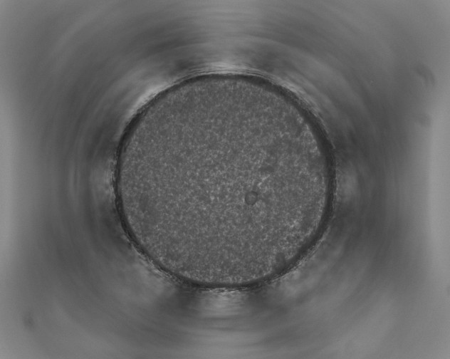 X0000110941314200907101239