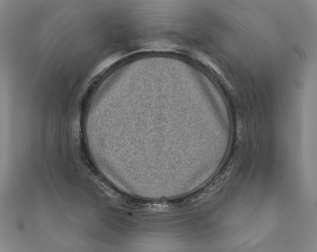 X0000110941315200907101239