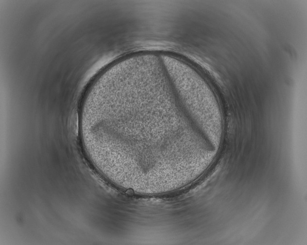 X0000110941317200907101239