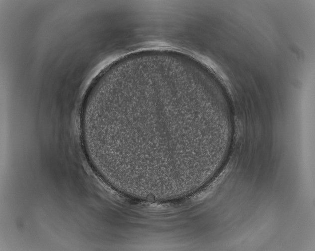 X0000110941318200907101239