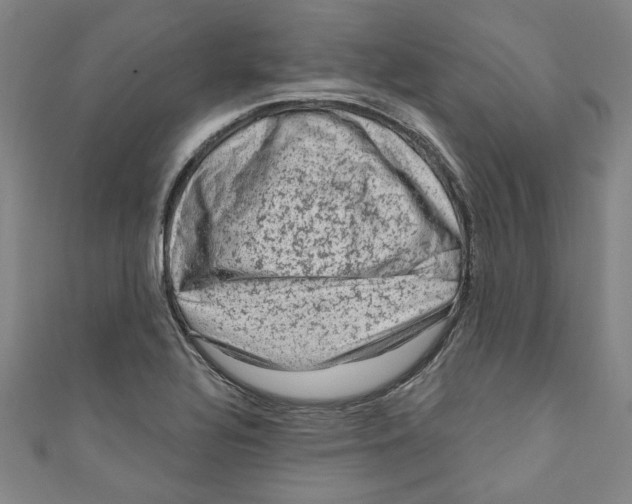 X0000110941320200907101239