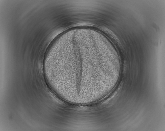 X0000110941321200907101239