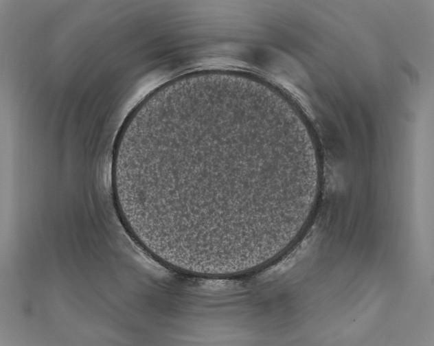 X0000110941322200907101239