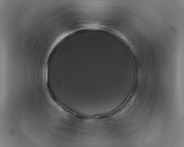 X0000110941323200907101239