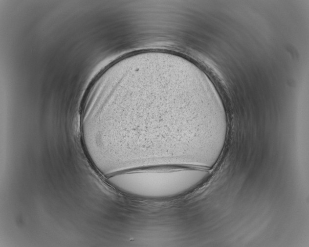 X0000110941324200907101239