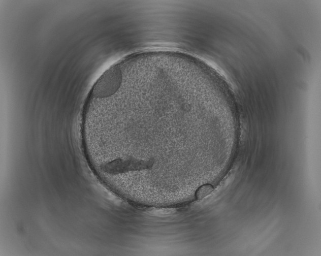 X0000110941325200907101239