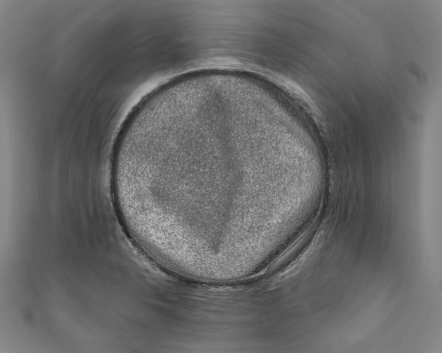 X0000110941326200907101239