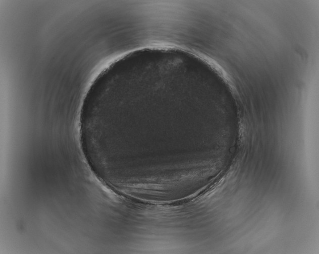 X0000110941327200907101239