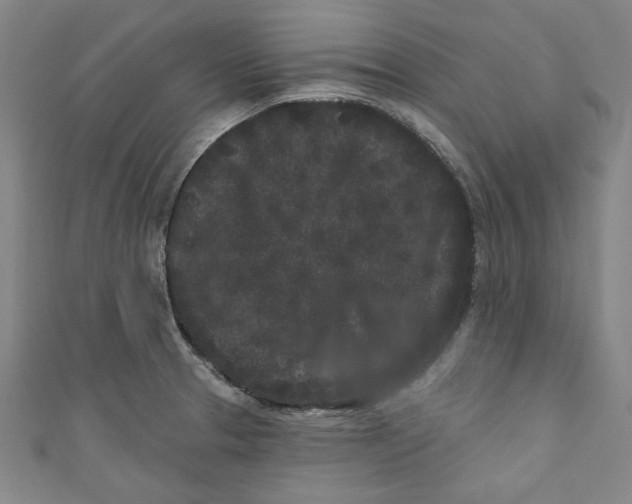 X0000110941329200907101239