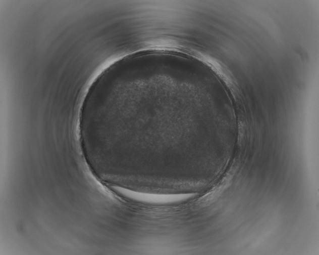 X0000110941331200907101239