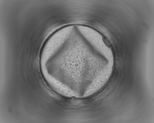 X0000110941332200907101239