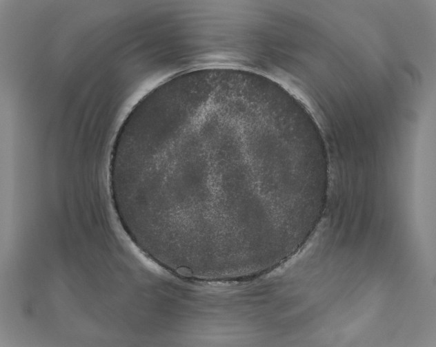 X0000110941333200907101239