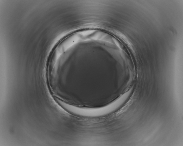 X0000110941334200907101239