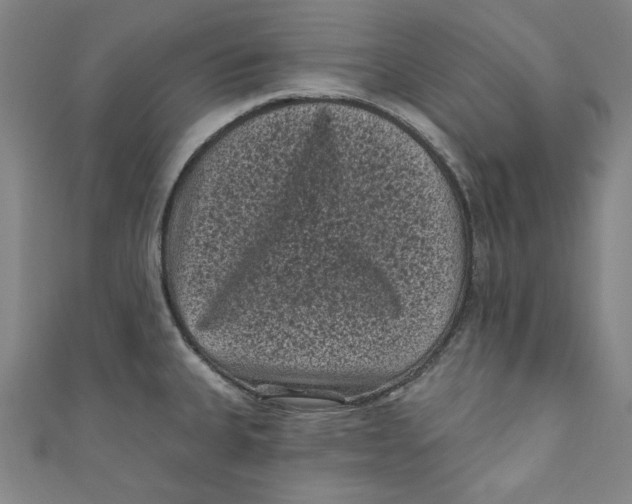 X0000110941335200907101239