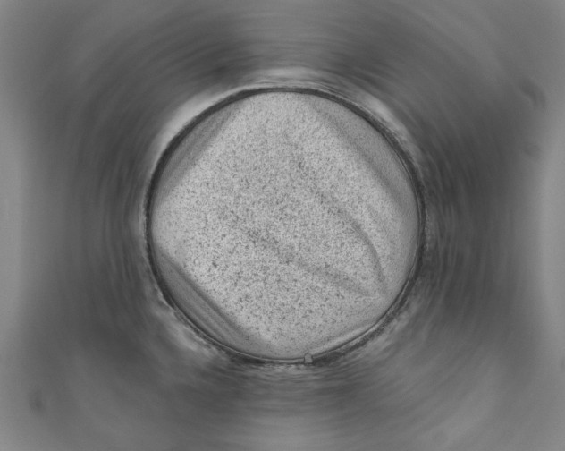 X0000110941336200907101239