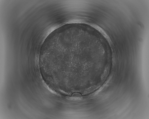 X0000110941337200907101239