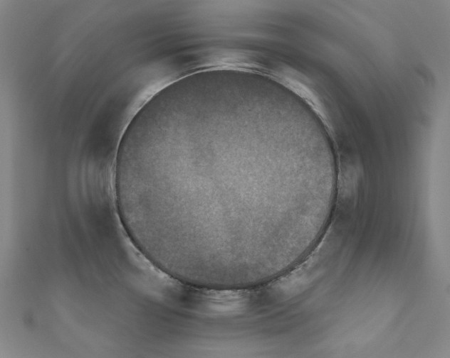 X0000110941338200907101239