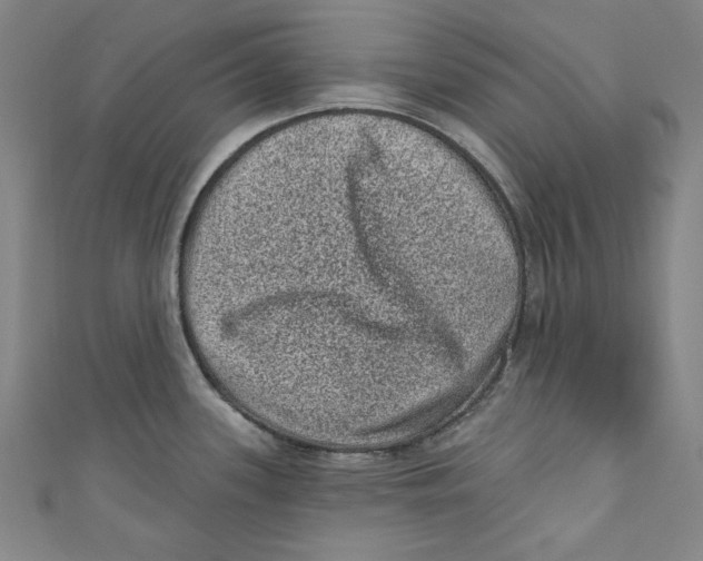 X0000110941339200907101239