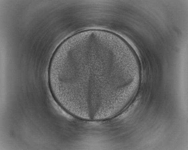 X0000110941341200907101239