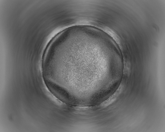 X0000110941342200907101239